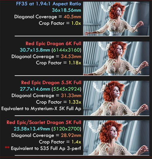 Red Dragon camera dimensions and crop factor -thefilmbook