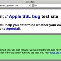 checking Apple SSL vulnerability