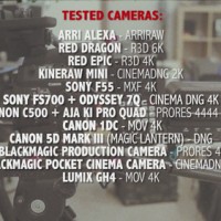 Polish 12-camera Test